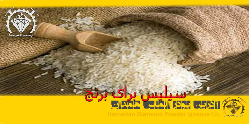 سیلیس برای برنج