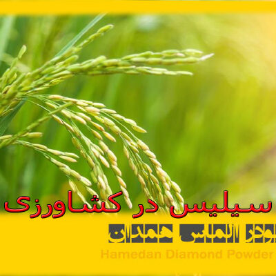 سیلیس در کشاورزی