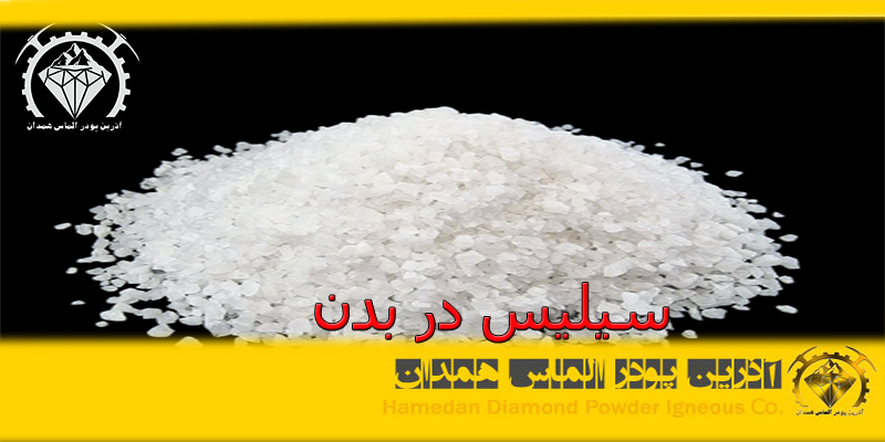 سیلیس در بدن