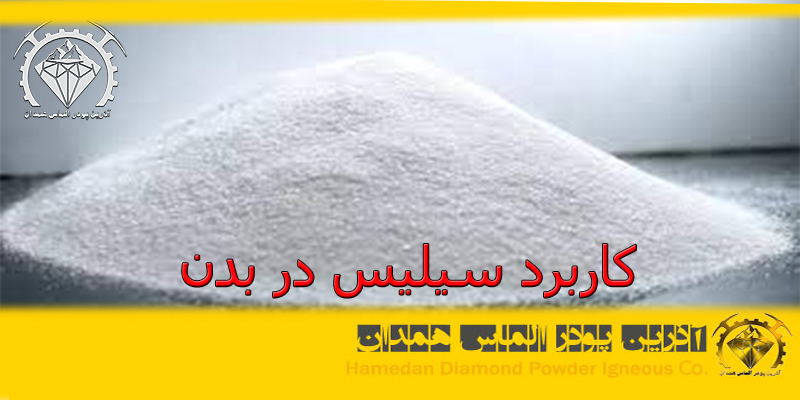 کاربرد سیلیس در بدن