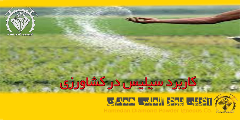 ptsd20 کاربرد سیلیس در کشاورزی