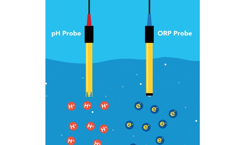 ارتباط ORP و PH چیست