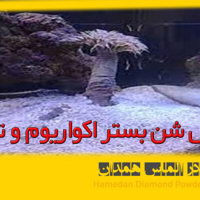 azalmas_silca_13 سیلیس شن بستر آکواریوم و تراریوم