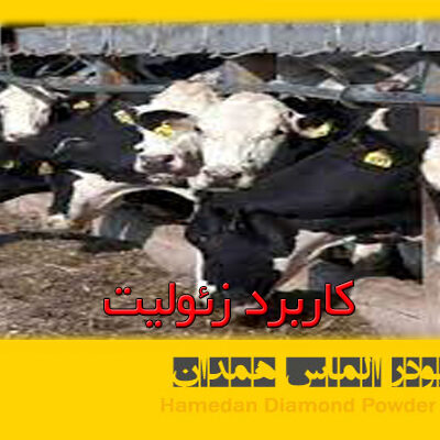 کاربرد زیولیت