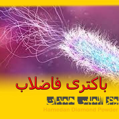 باکتری فاضلاب